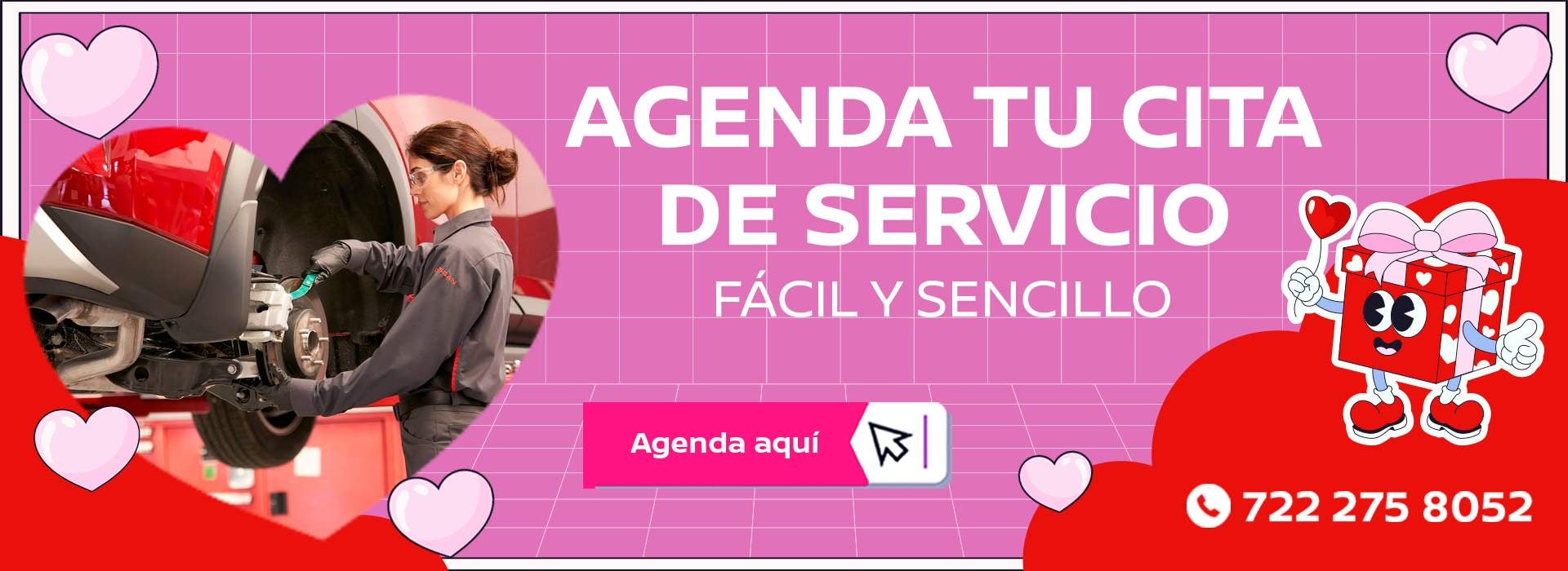 servicip